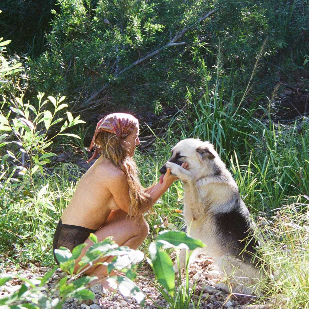 5 Pack - Fern Lace High Waisted Pocket Brief + Botanical Heat Pack